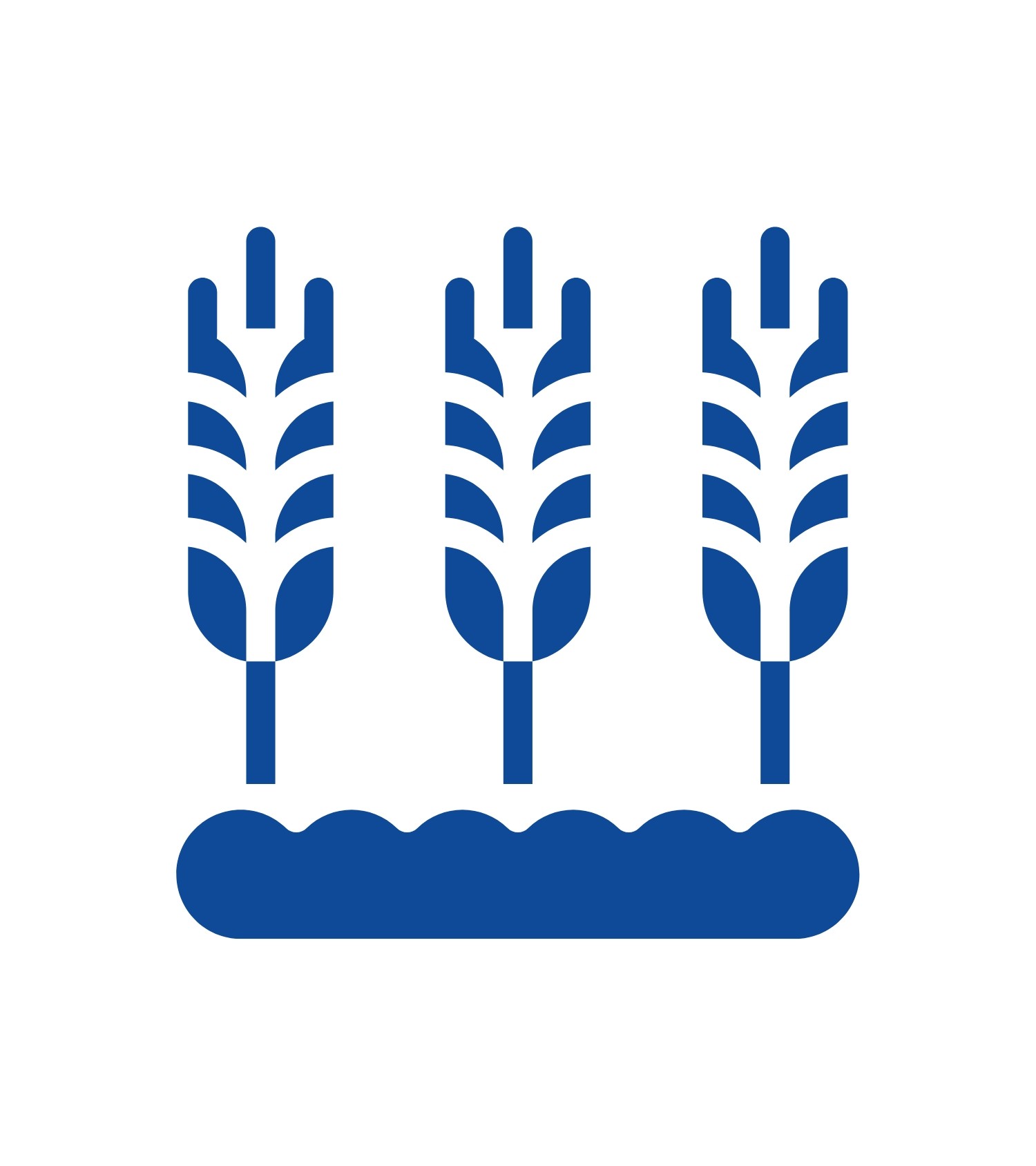 CADASTRO AMBIENTAL RURAL (CAR)