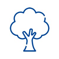 LICENCIAMENTO AMBIENTAL MUNICIPAL E ESTADUAL 